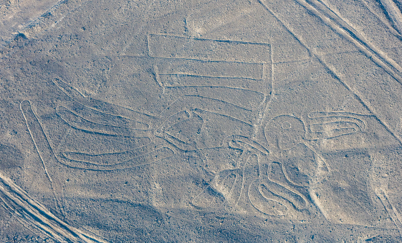 Illustration for article titled Un nuevo estudio revela el significado de 16 geoglifos de las líneas de Nazca